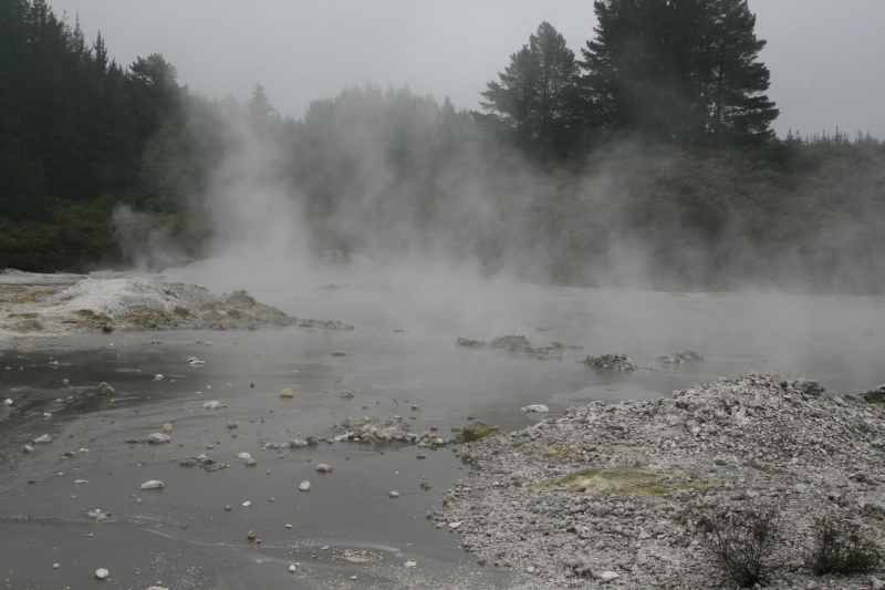 Nieuw-Zeeland 2011 - 0606